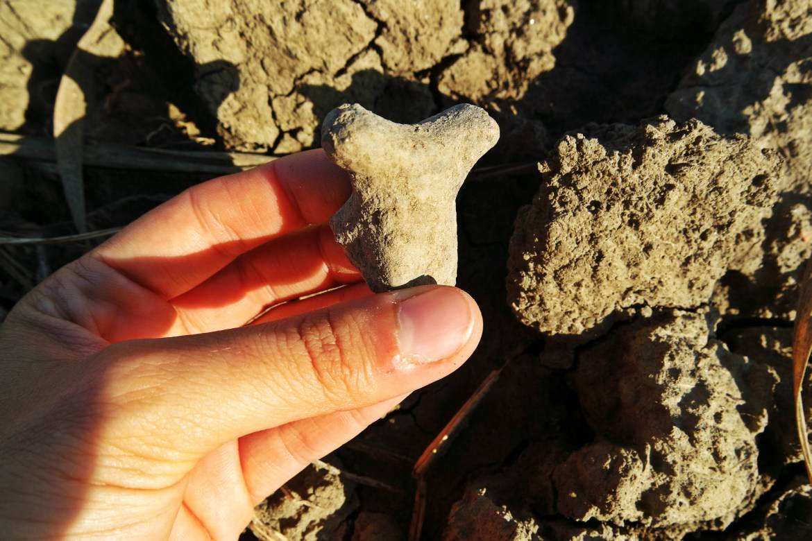 Lo scavo di Bondeno fra gli esempi di buona archeologia